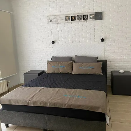 Lejlighed Charming In Center, 75 M² With Terrace Charleroi